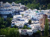 16922142497 795552047f o29 copia  11